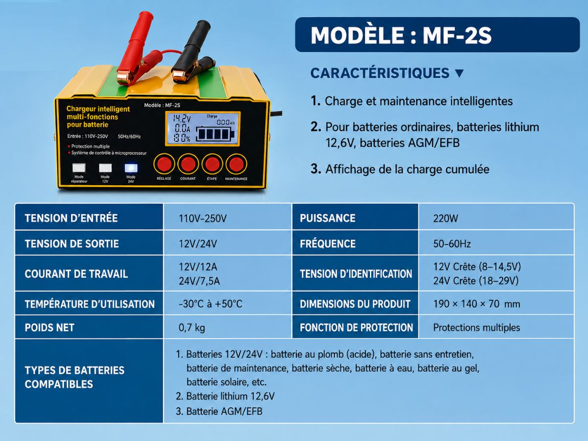 Chargeur de Batterie 12/24V 240W 2